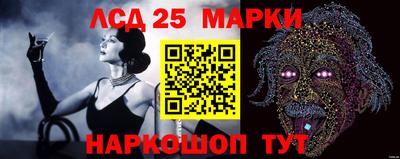 мяу мяу мука Будённовск