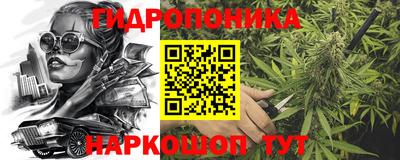 мяу мяу мука Гай