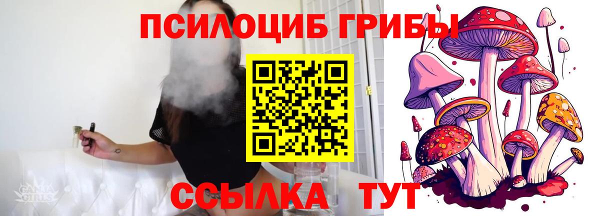 Псилоцибиновые грибы Magic Shrooms Сергиев Посад